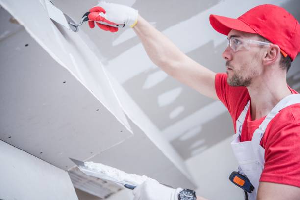 Best Black Mold Removal  in Alva, FL